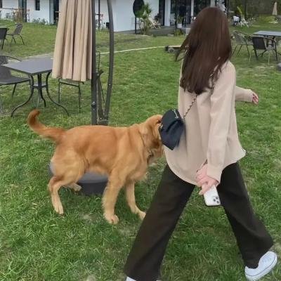 老爸当家